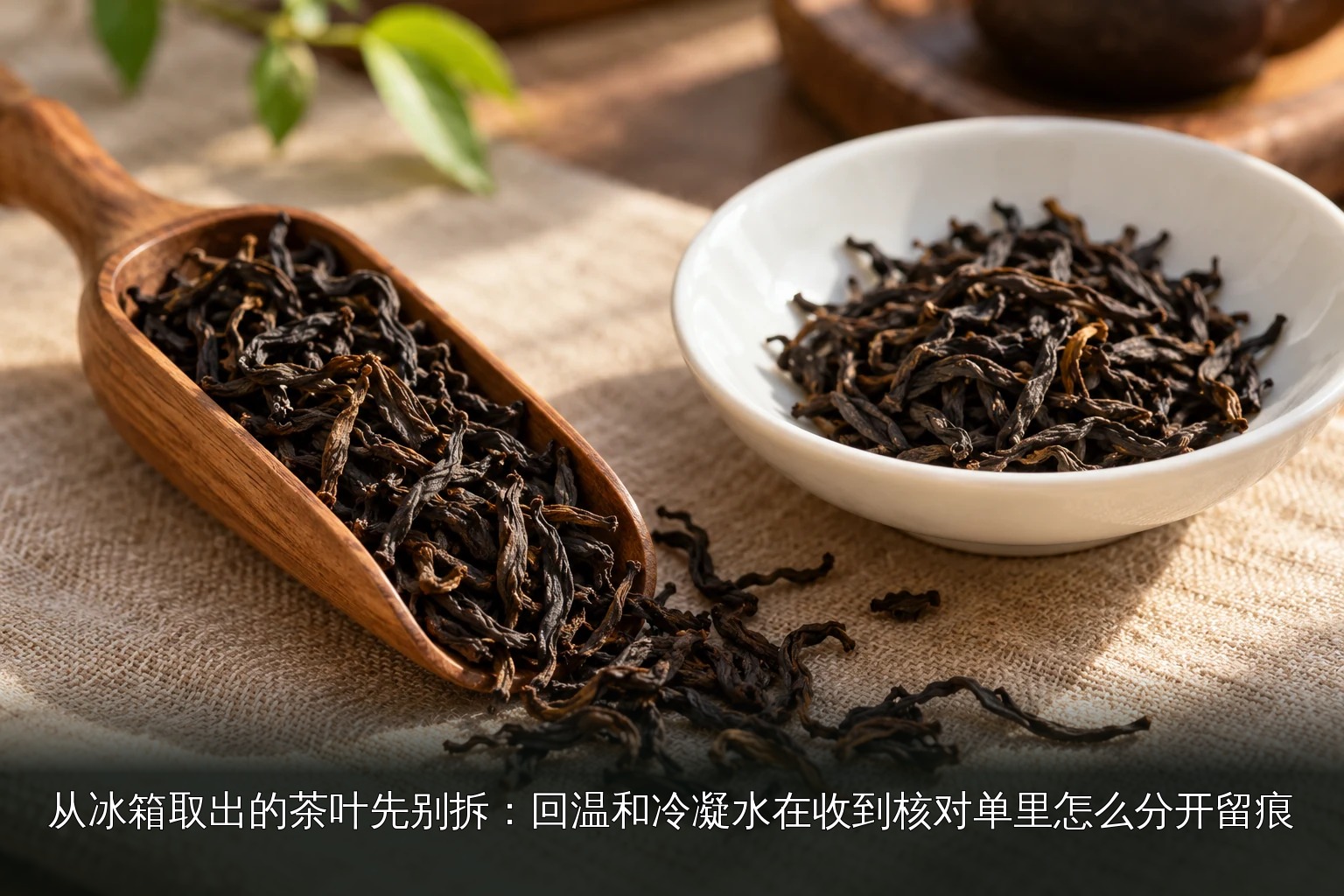 主题配图｜条索状干茶