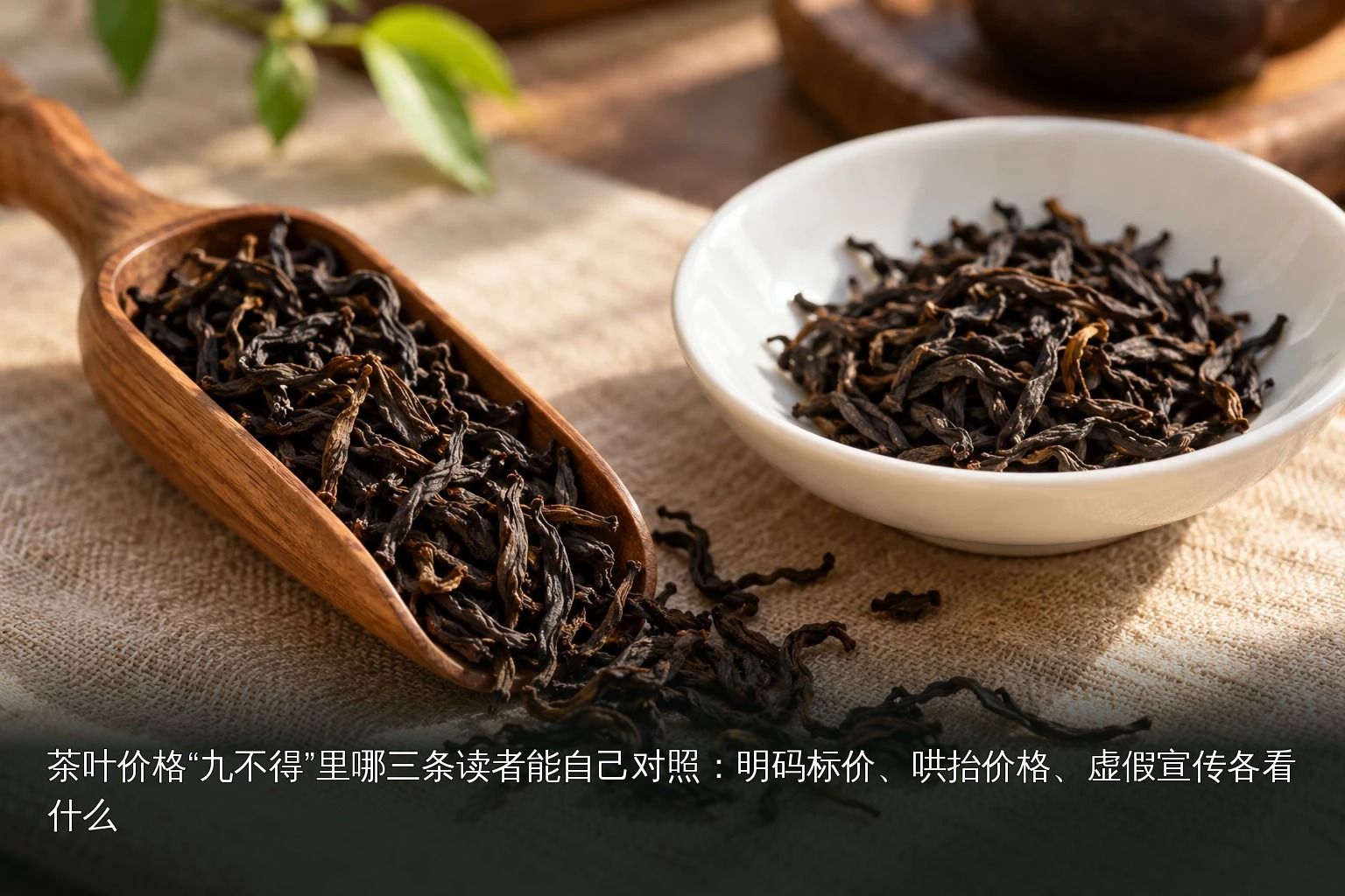 主题配图｜条索状干茶